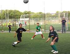 IMG_2037_web_neu_jpg_226x1000_detail_upscale_q85