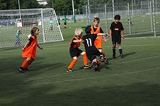 IMG_4438_JPG_226x1000_detail_upscale_q85